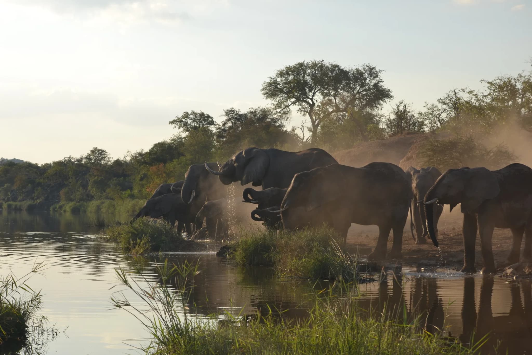 Greater Kruger