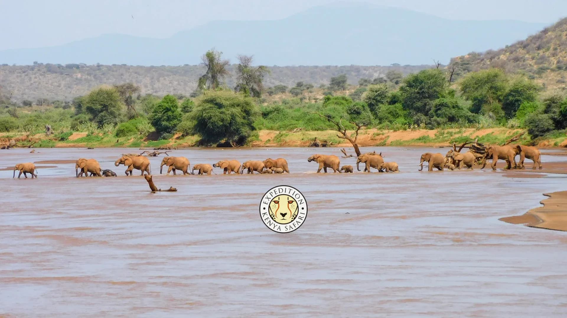 11 DAYS LUXURY KENYA SAFARI