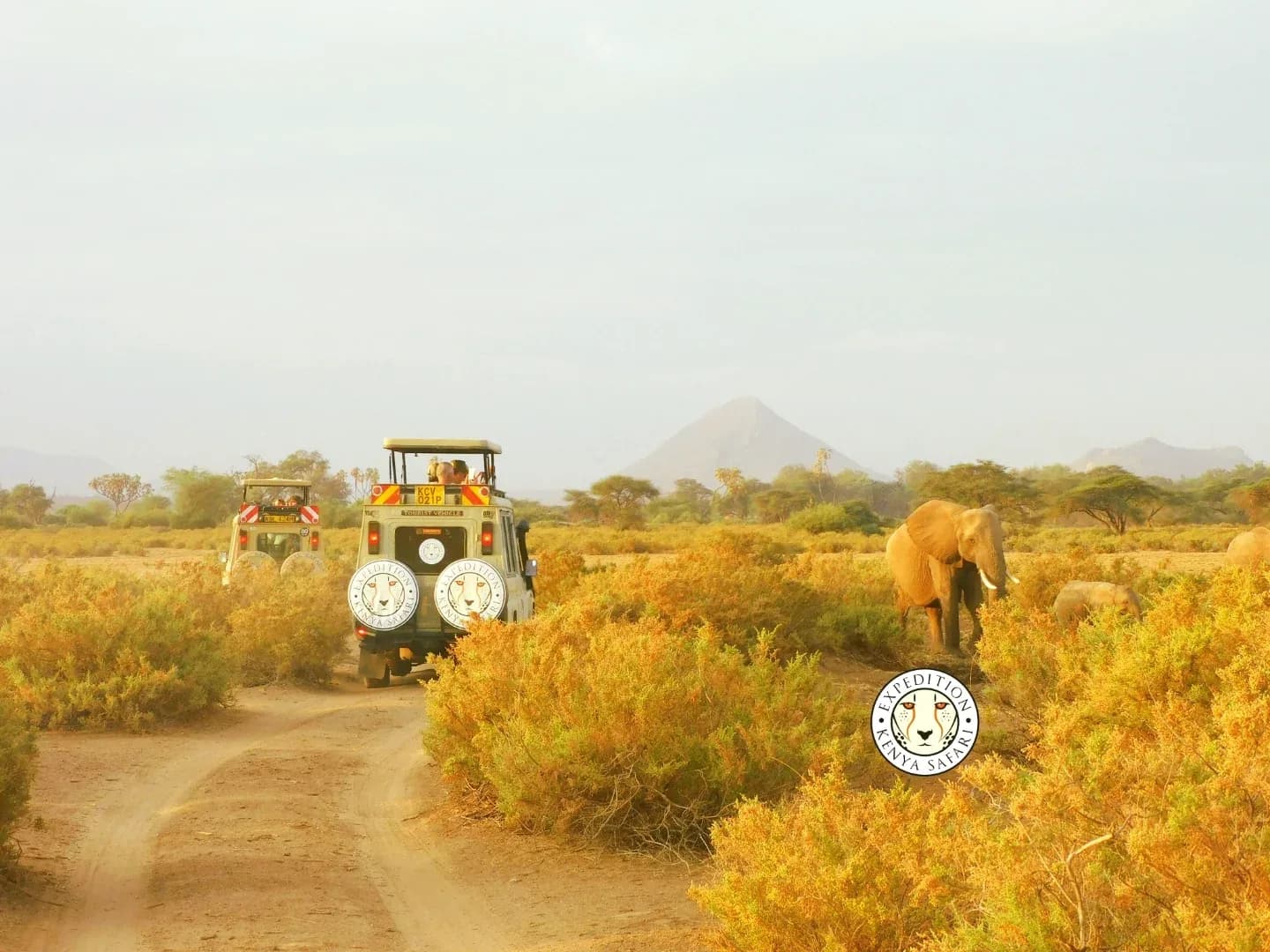 11 DAYS LUXURY KENYA SAFARI photo 3
