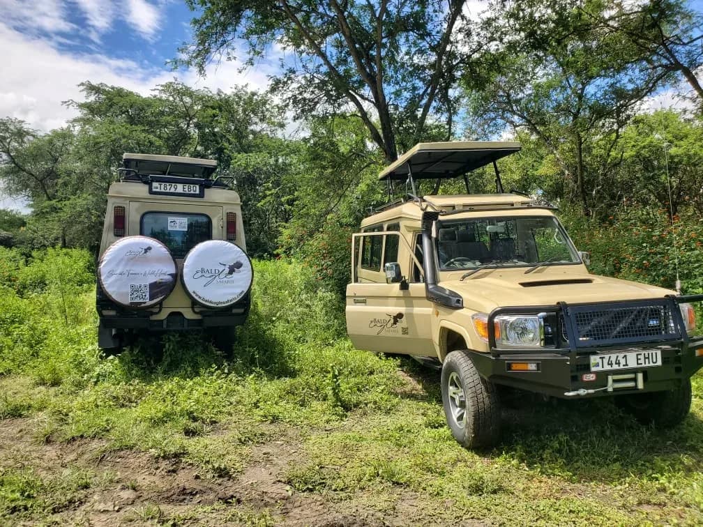 12 Days Serengeti Great Migration Luxury Wild Safari with Mafia Excursion