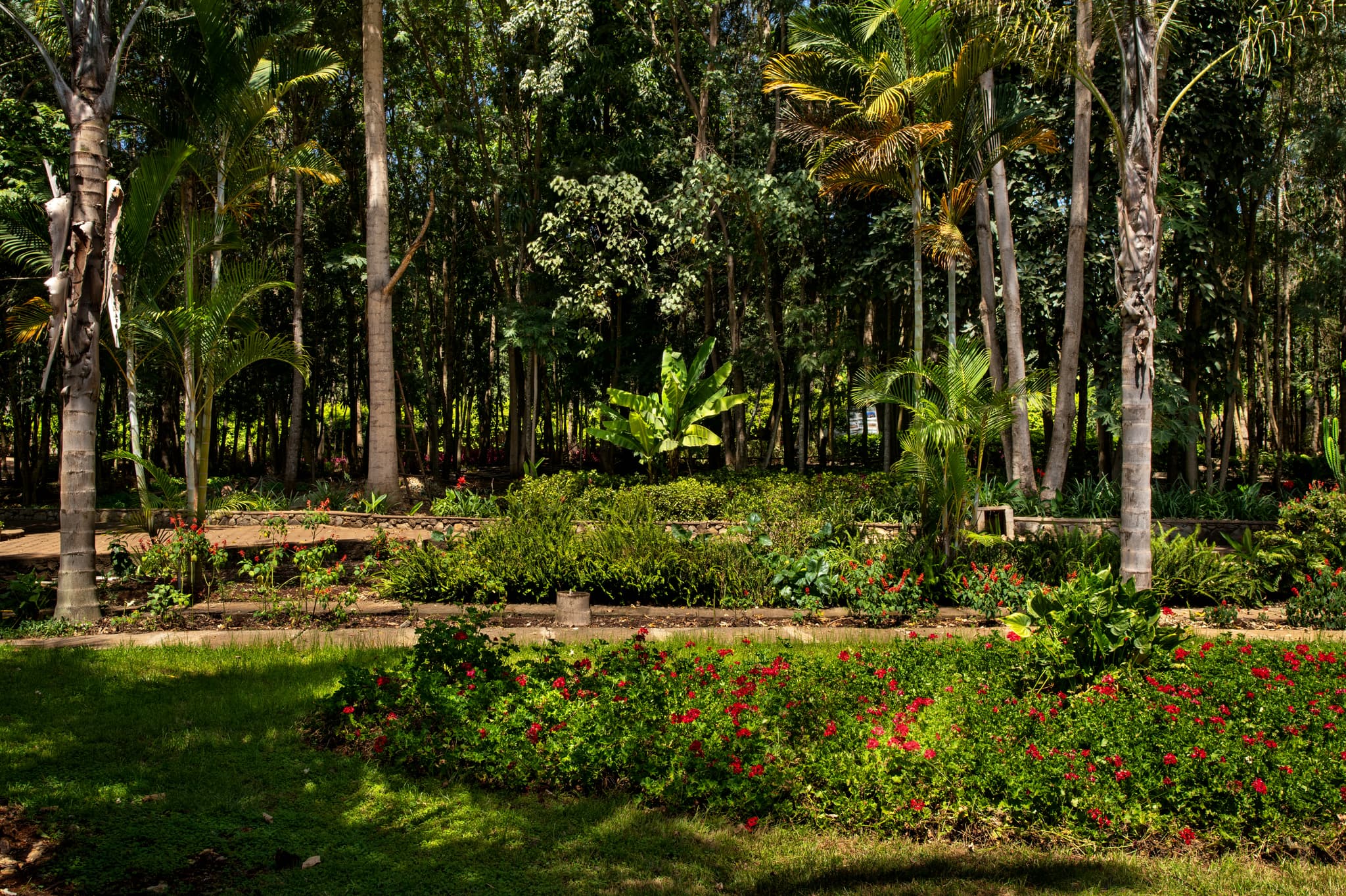 Lahia Tented Lodge - Image 3