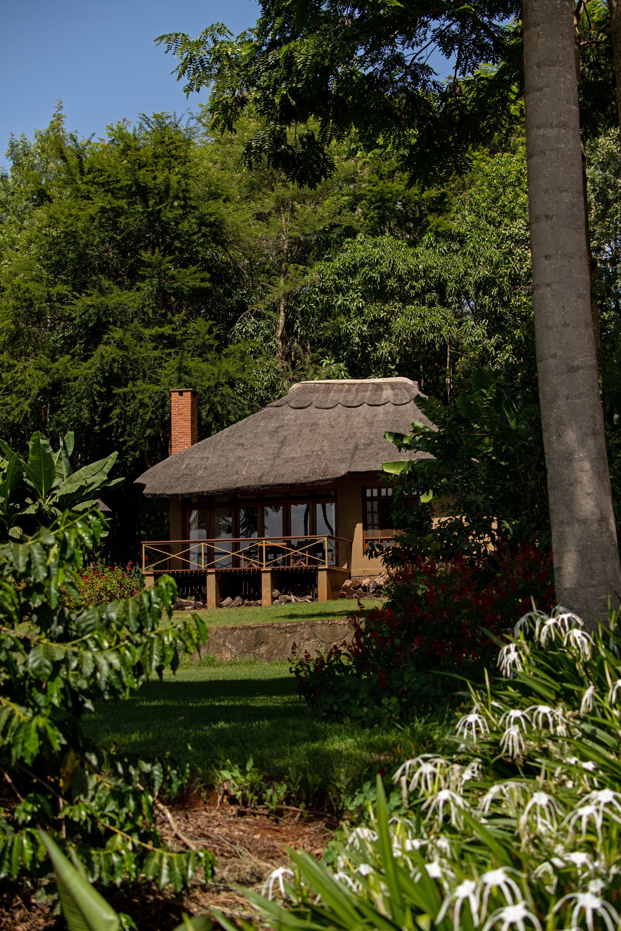Mara Mara Tented Lodge - Image 2