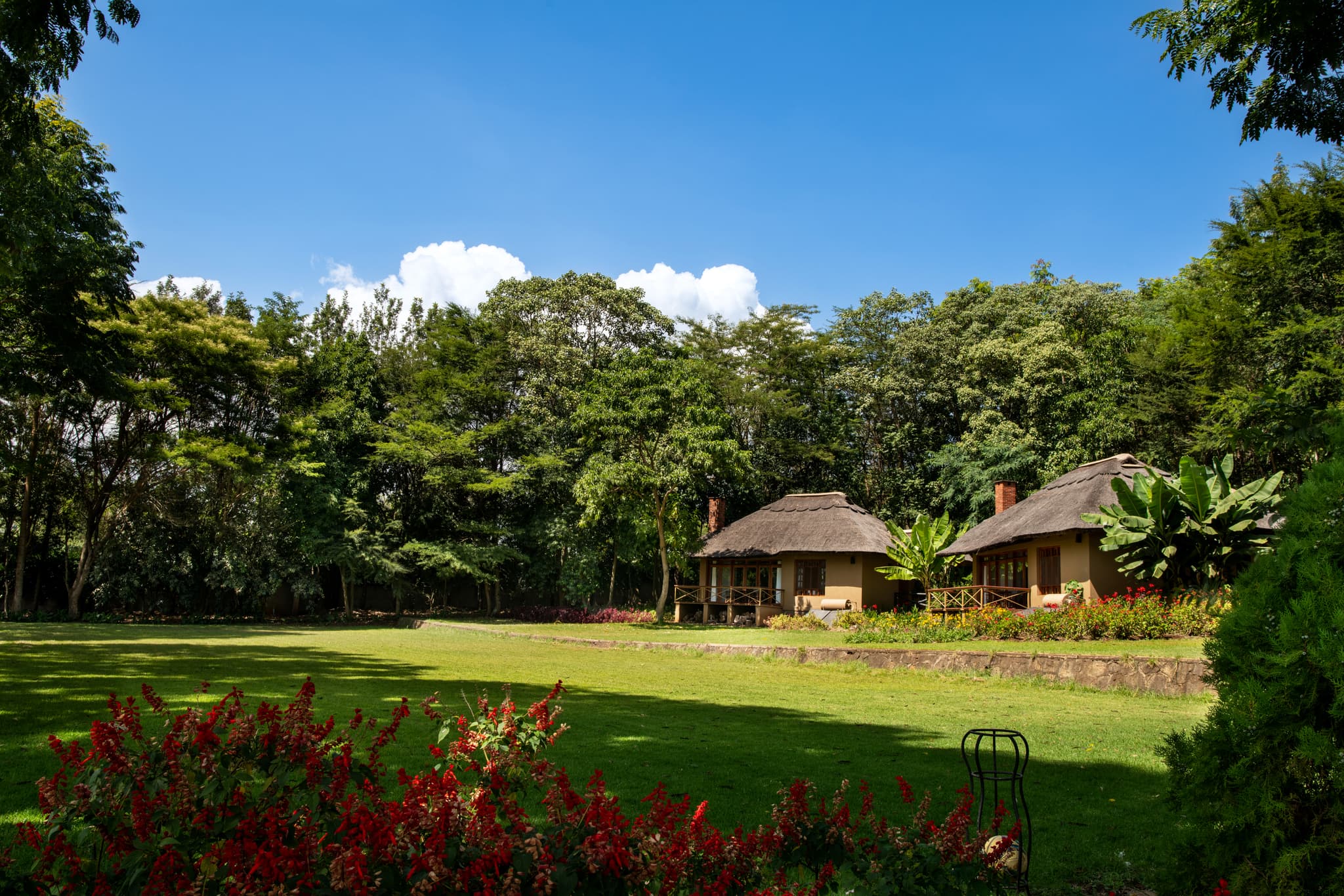 Mara Mara Tented Lodge - Image 3