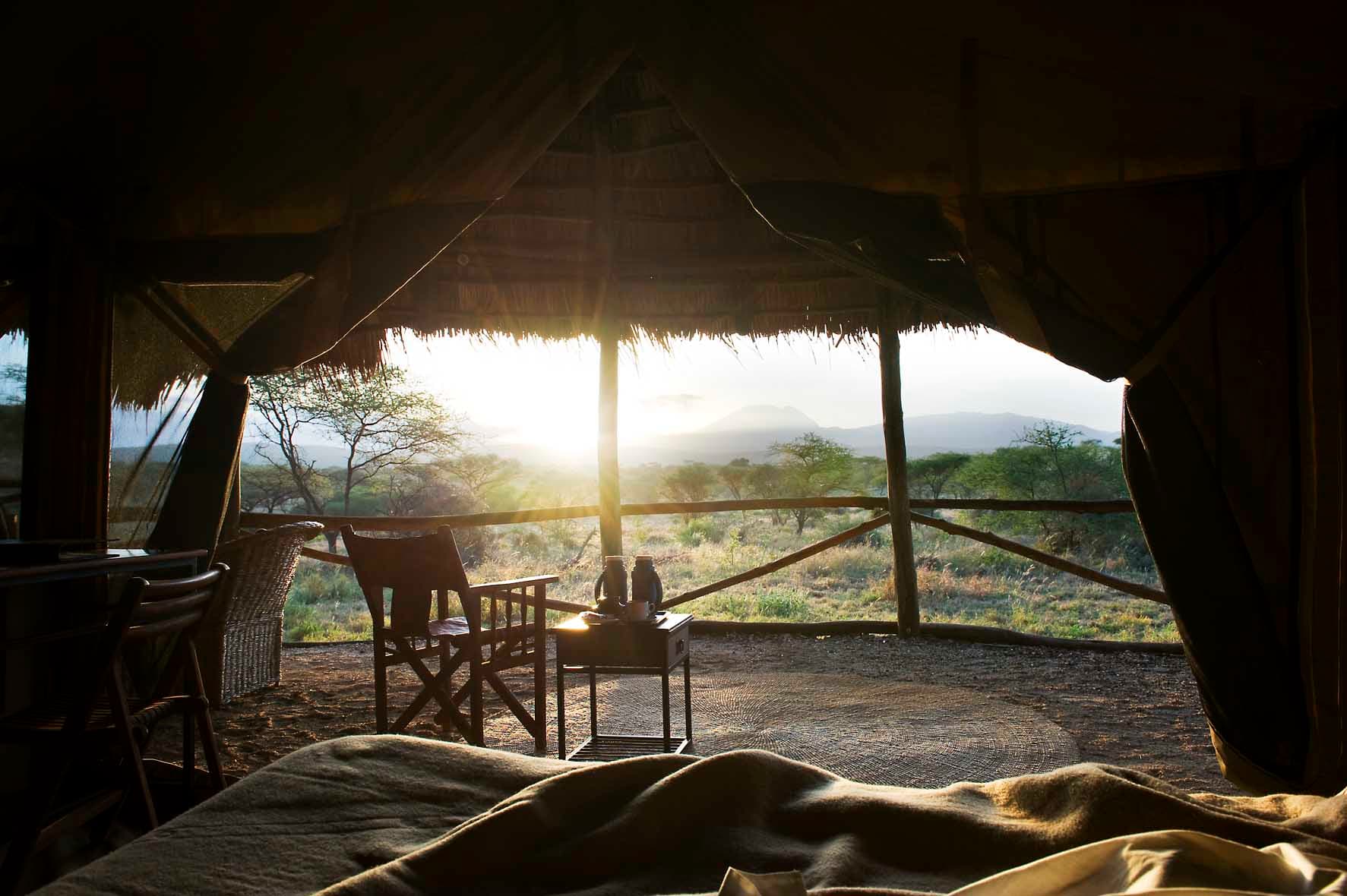 Ndutu Under Canvas - Image 5