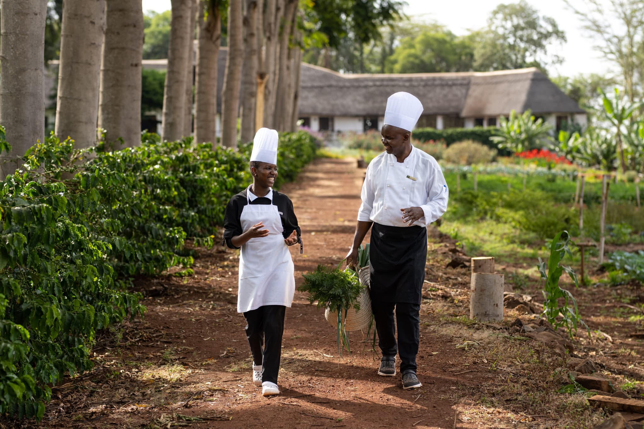 Ngorongoro Farm House - Image 2