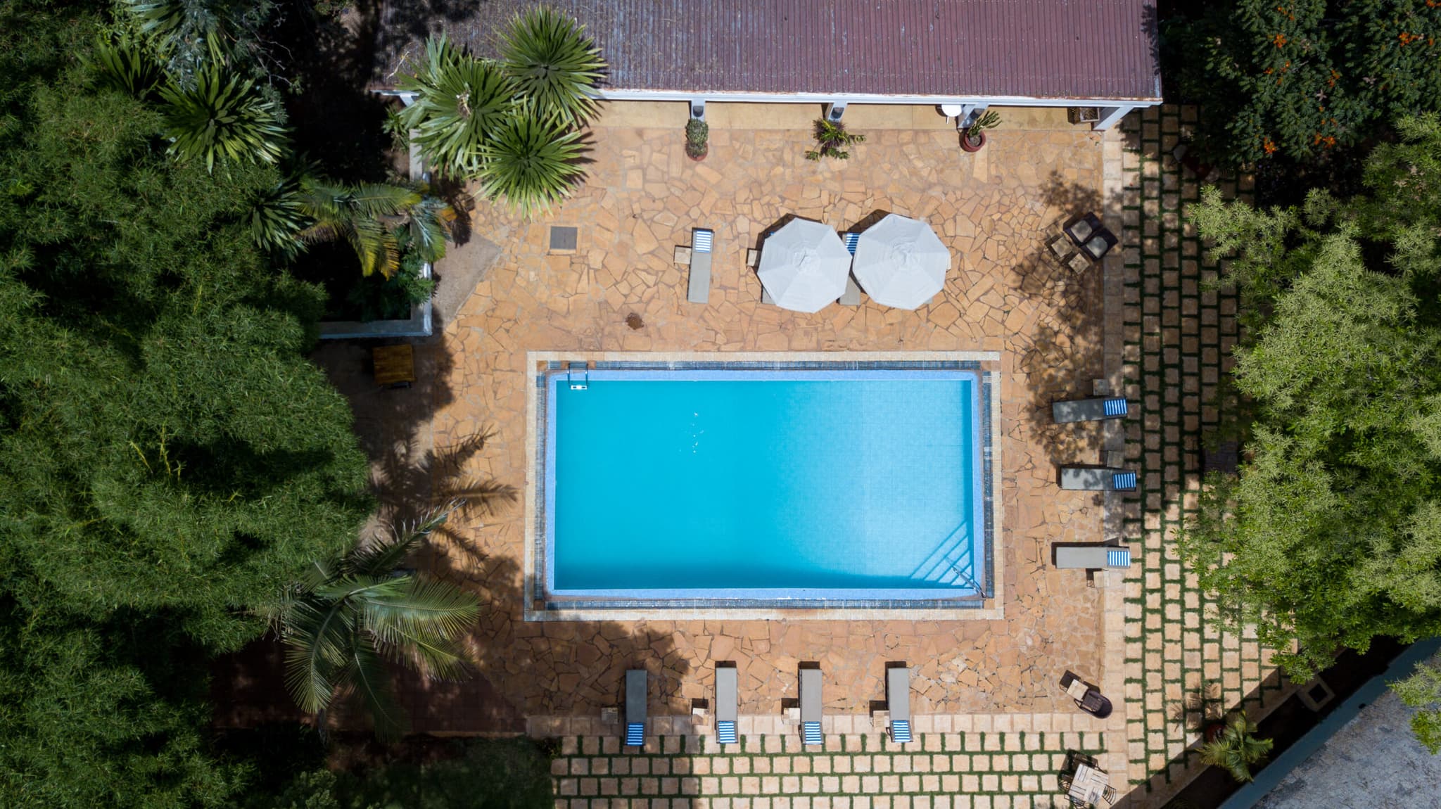 Ngorongoro Farm House - Image 3