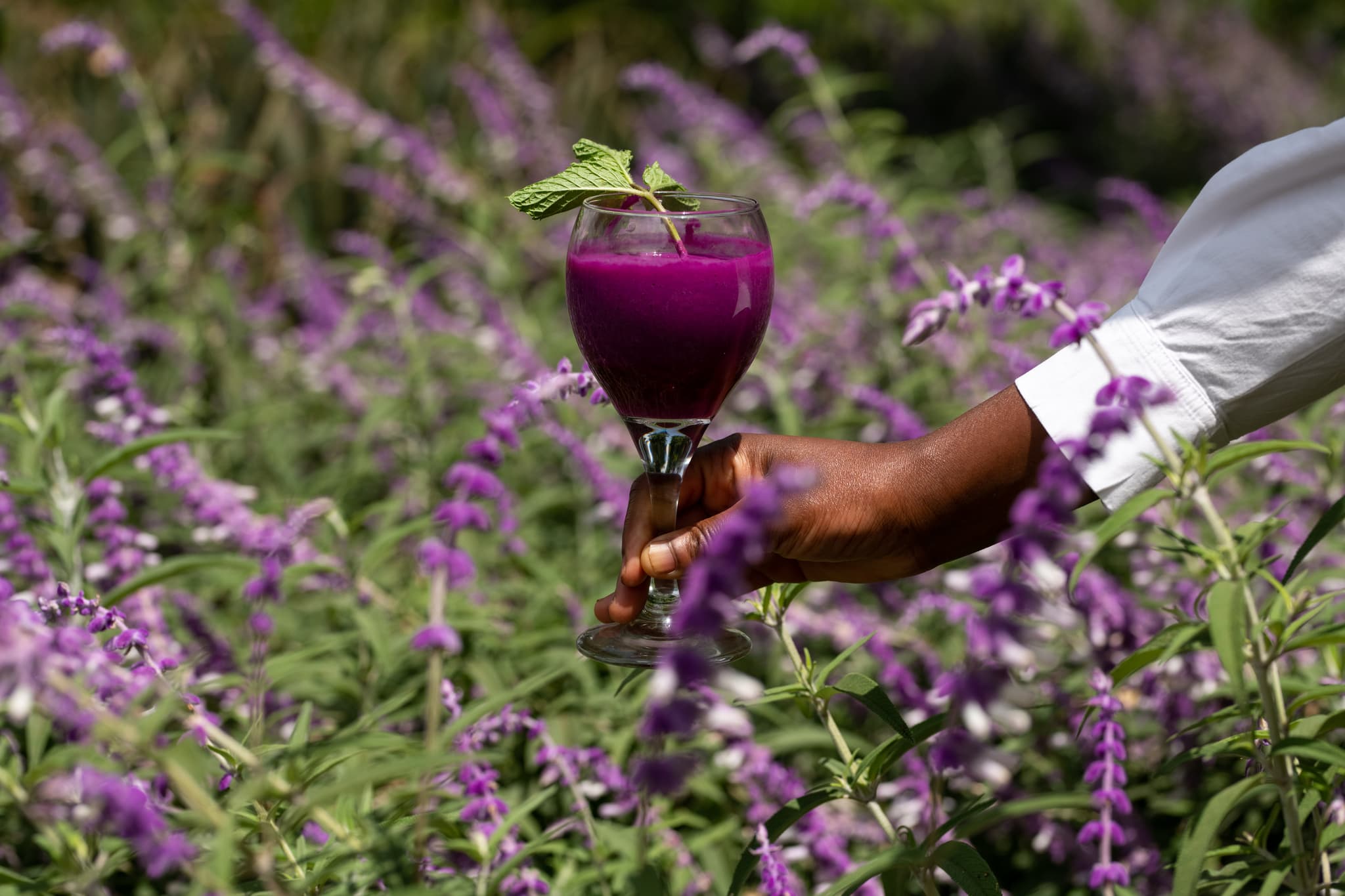 Ngorongoro Farm House - Image 4