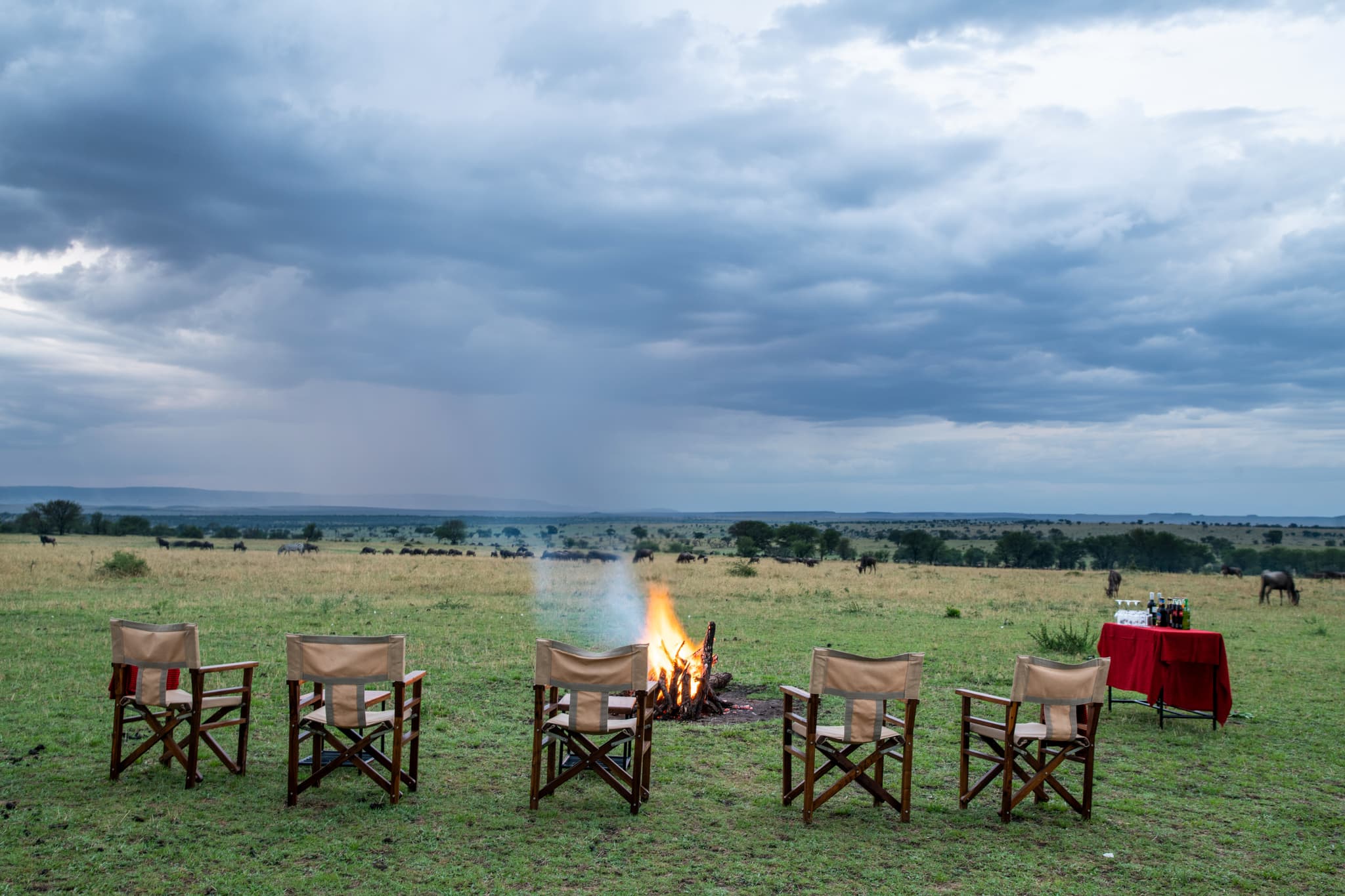 Tarangire Kati Kati Tented Camp - Image 2