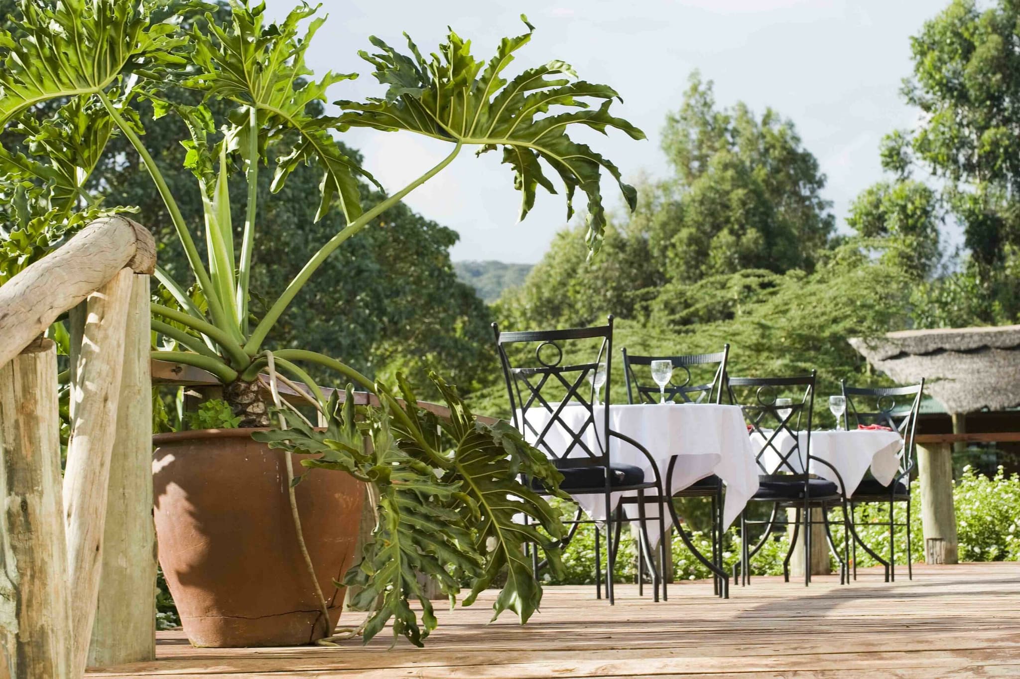 Tloma Lodge - Image 4