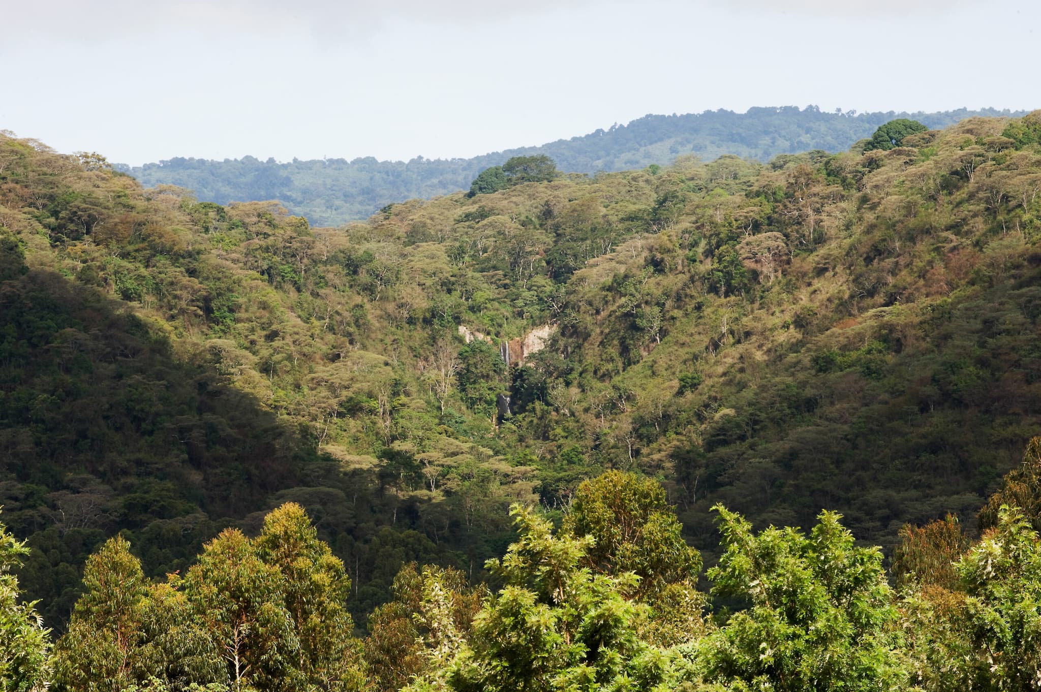 Tloma Lodge - Image 5