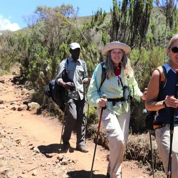 Kilimanjaro Climb - Marangu Route | 7 Days photo 1
