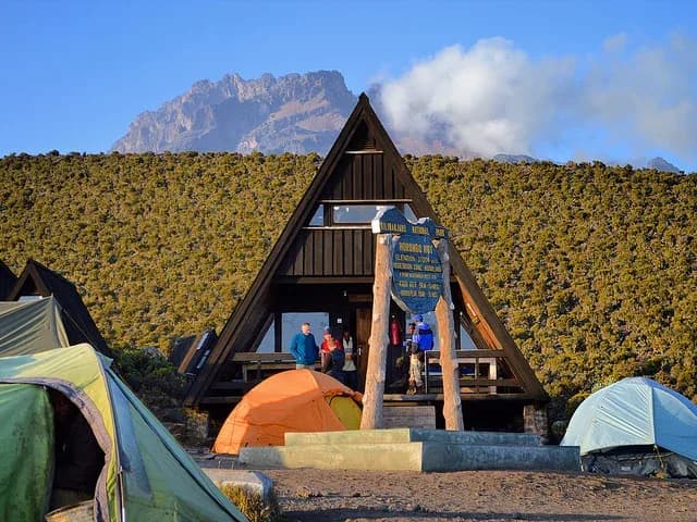 Kilimanjaro Climb - Marangu Route | 7 Days photo 10