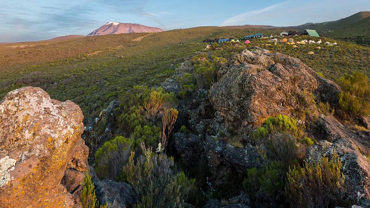 Kilimanjaro Climb - Marangu Route | 7 Days photo 11