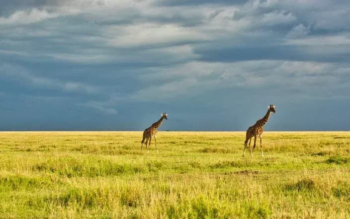 3 DAYS GROUP CAMPING - SERENGETI & NGORONGORO photo 7