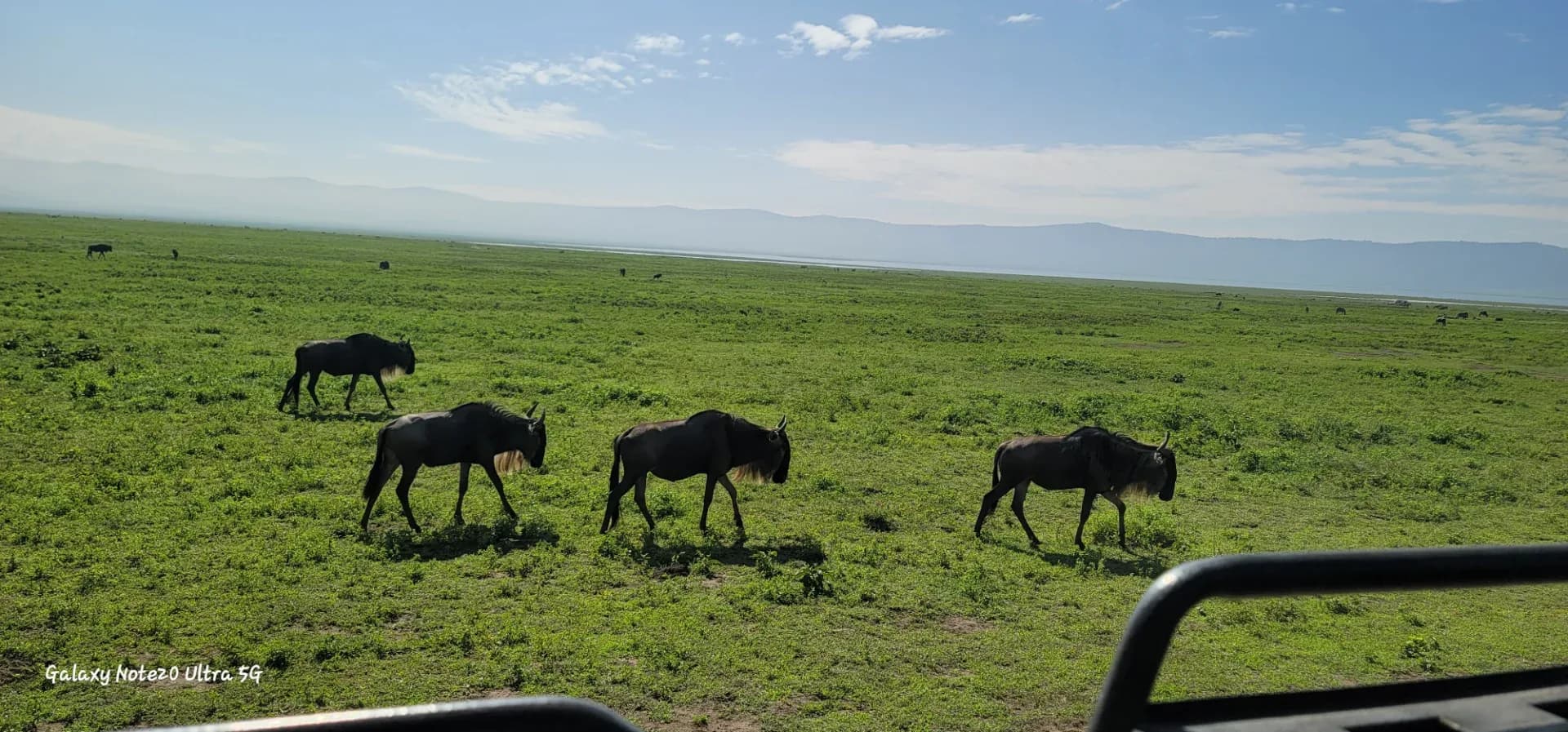 6 days Tanzania wildlife safari photo 10