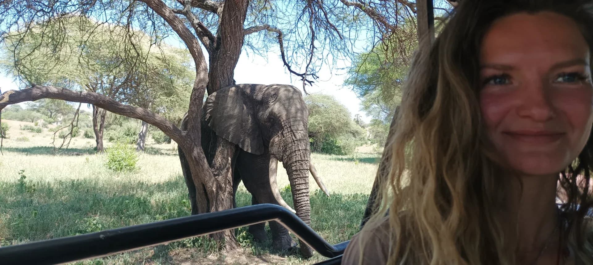 6 days Tanzania wildlife safari photo 12