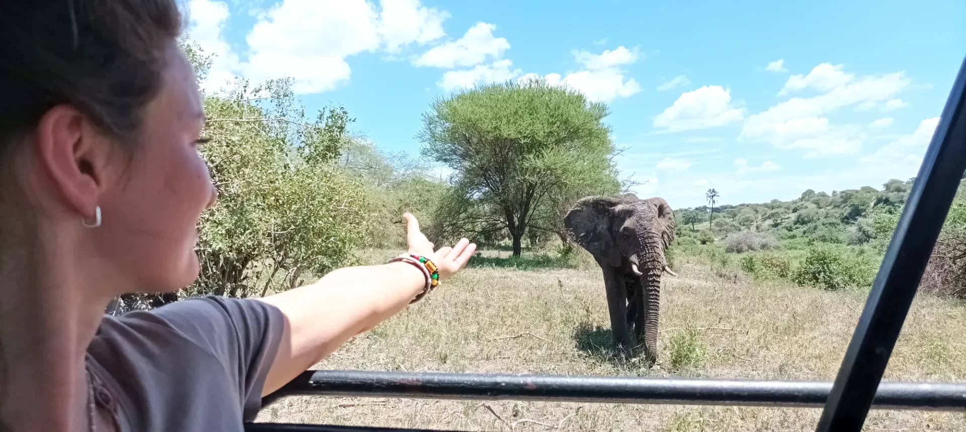 6 days Tanzania wildlife safari photo 13