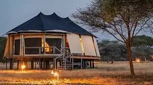 SAFARI, YOGA & CULTURE photo 7