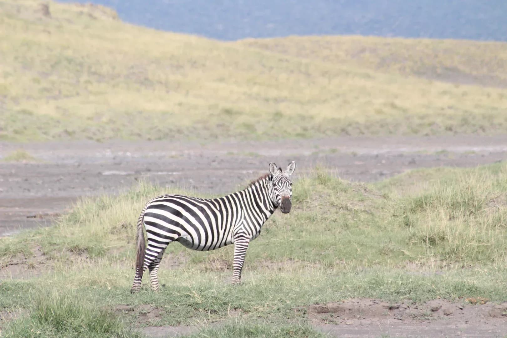 SAFARI, YOGA & CULTURE photo 11