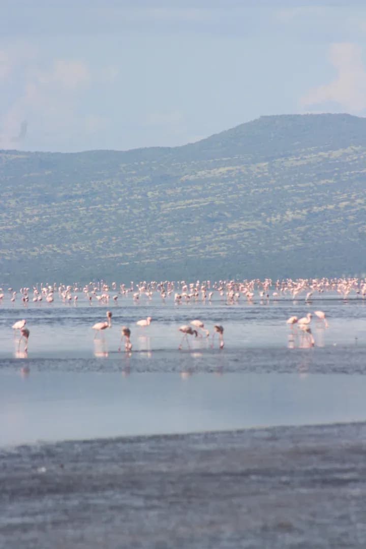 SAFARI, YOGA & CULTURE photo 12