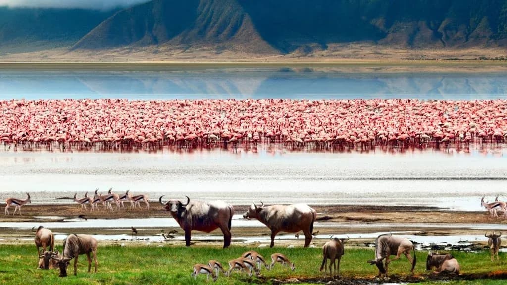 SAFARI, YOGA & CULTURE photo 15