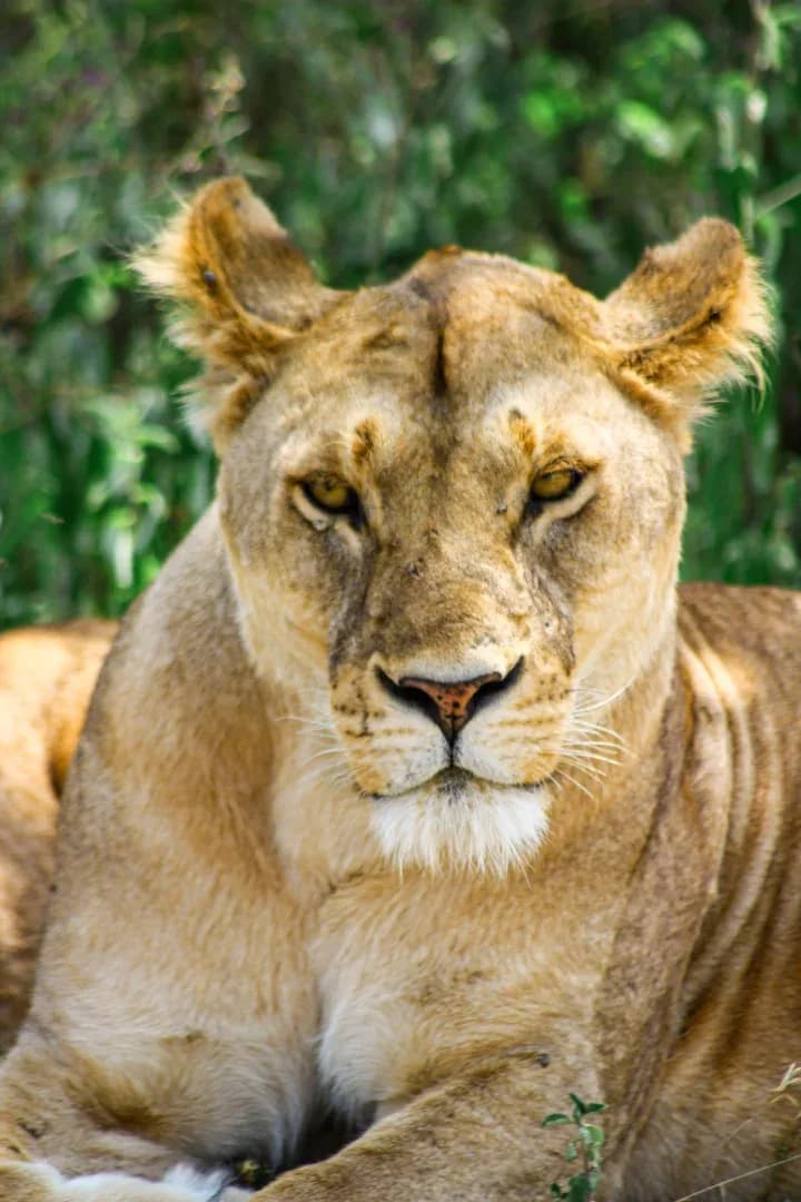 SAFARI, YOGA & CULTURE photo 17