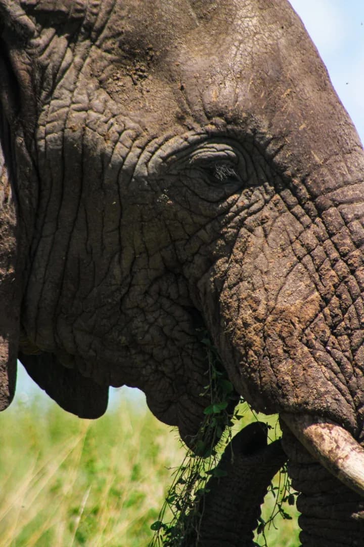 SAFARI, YOGA & CULTURE photo 18