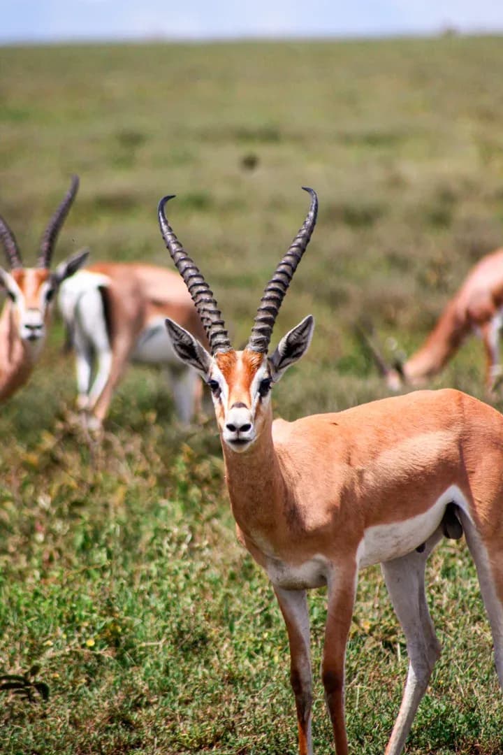 SAFARI, YOGA & CULTURE photo 19