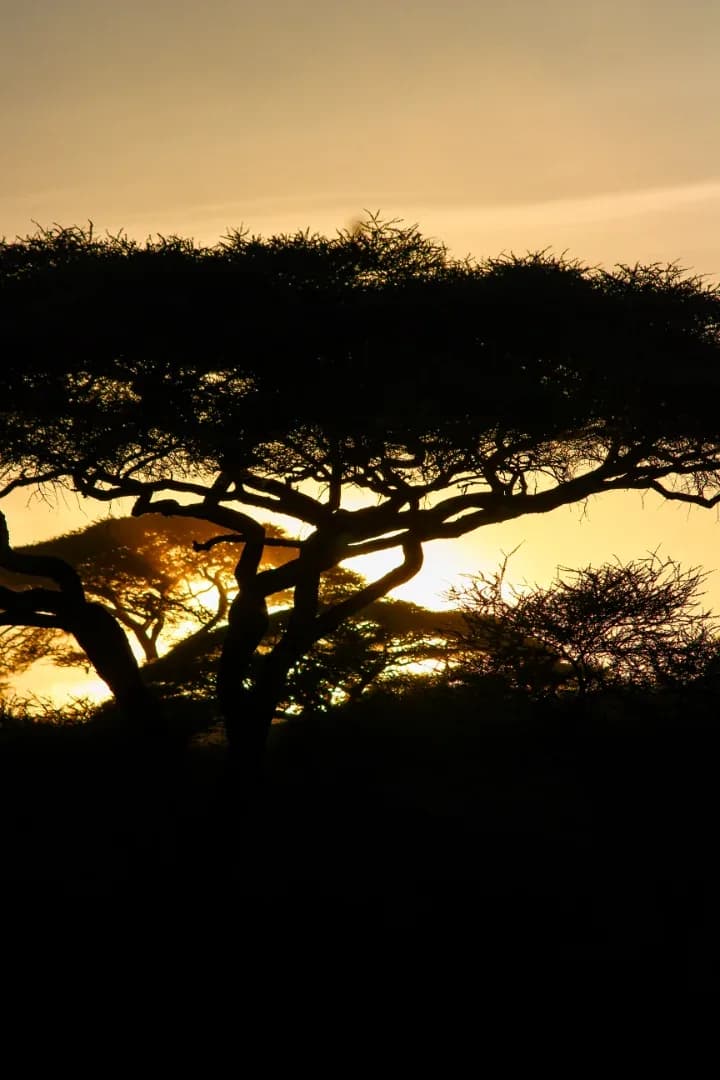 SAFARI, YOGA & CULTURE photo 20