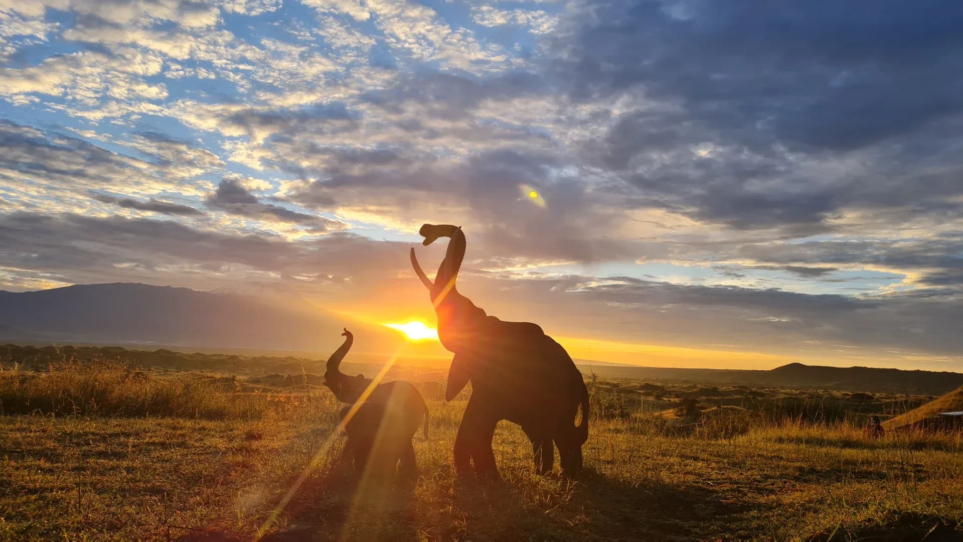 HONEYMOON SAFARI - 9 DAYS photo 4