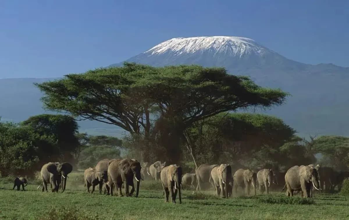 2 days Amboseli National Park safari from Nairobi