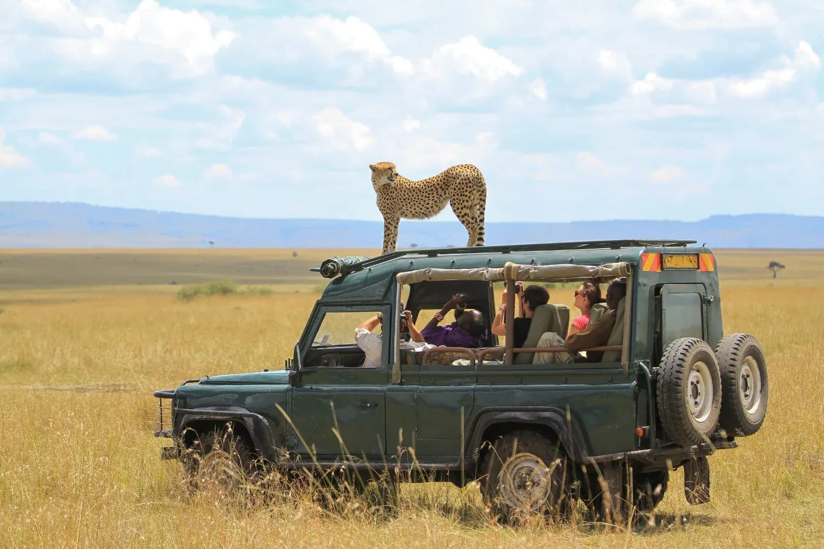 Majestic & Comfortable Tanzanian Safari photo 3