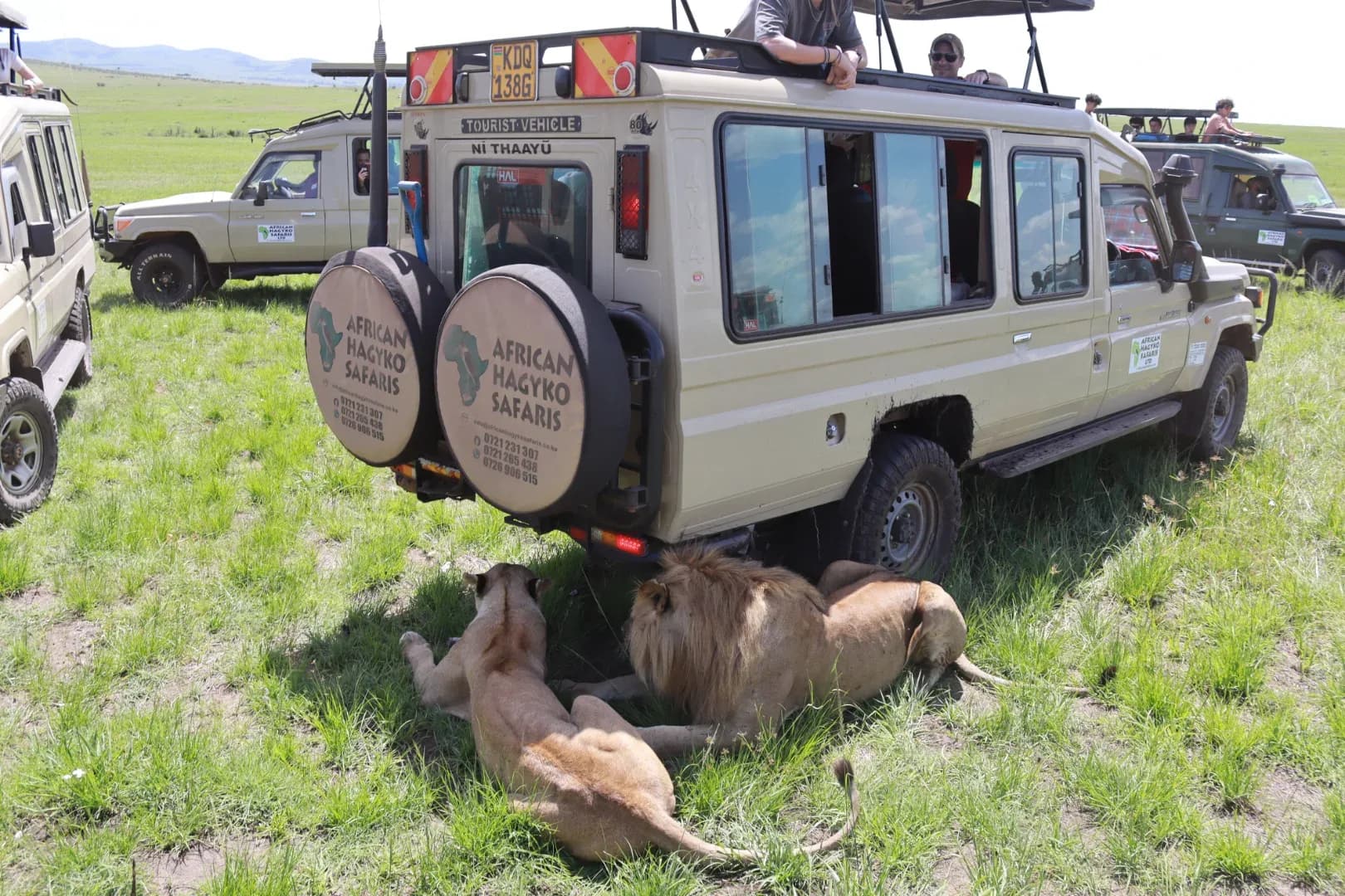 3 Days Masai Mara Fascinating Safari Adventure photo 8