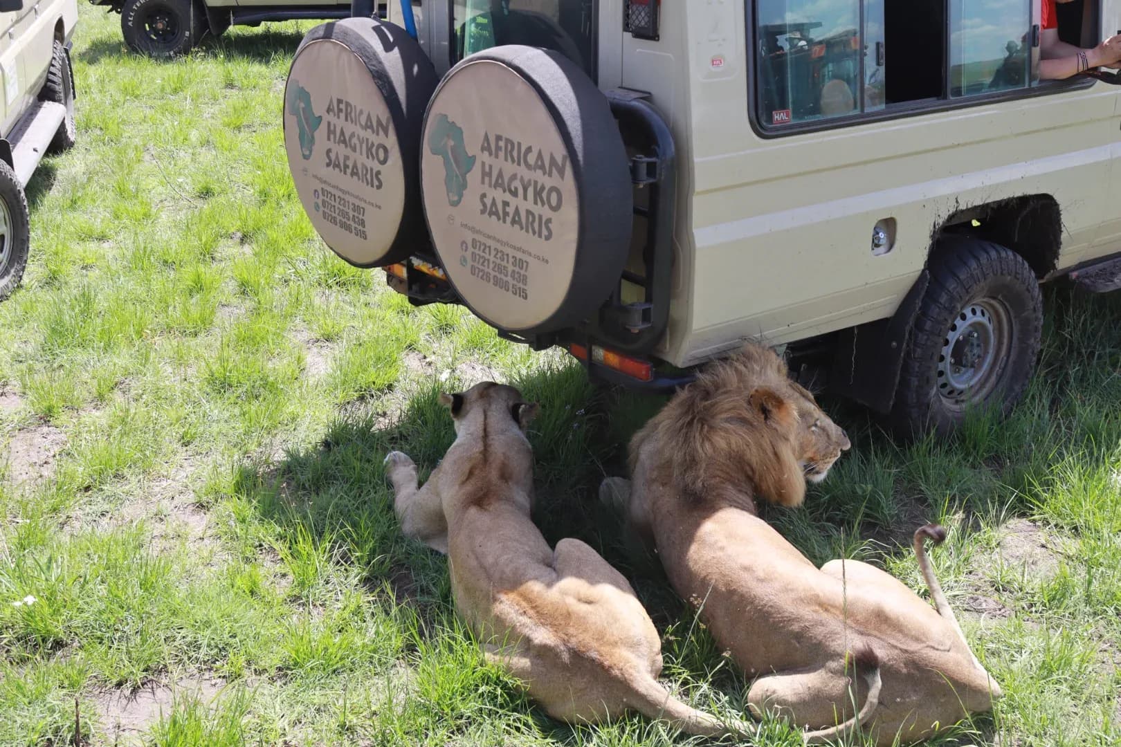 3 Days Masai Mara Fascinating Safari Adventure photo 9