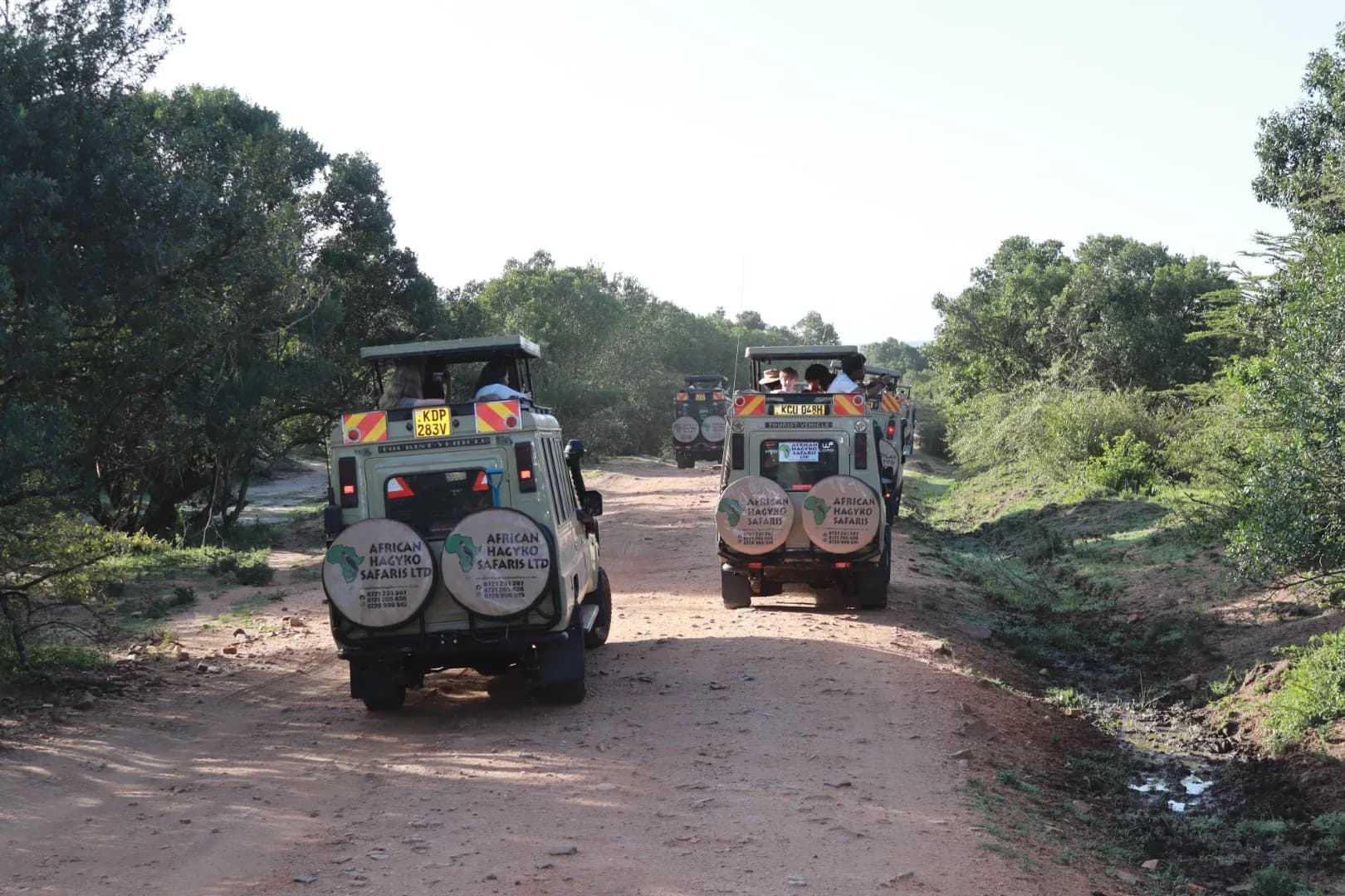 2 days Amboseli National Park Safari Adventure photo 4