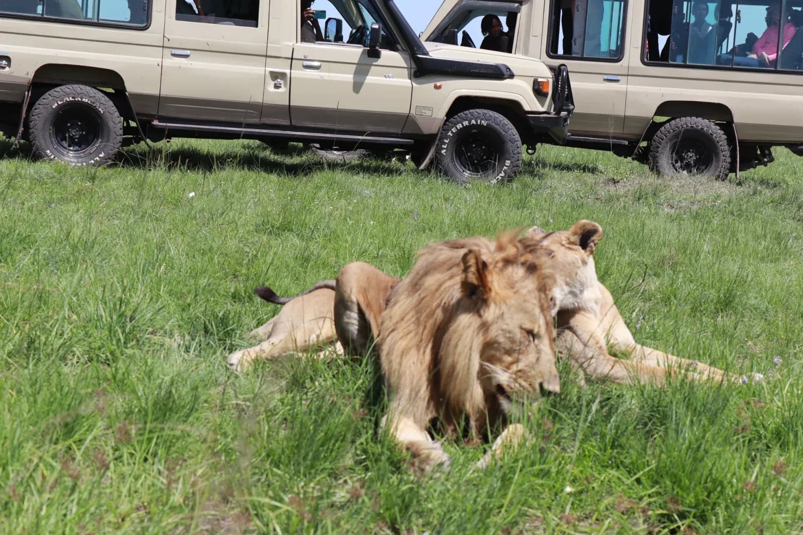 2 days Amboseli National Park Safari Adventure photo 5