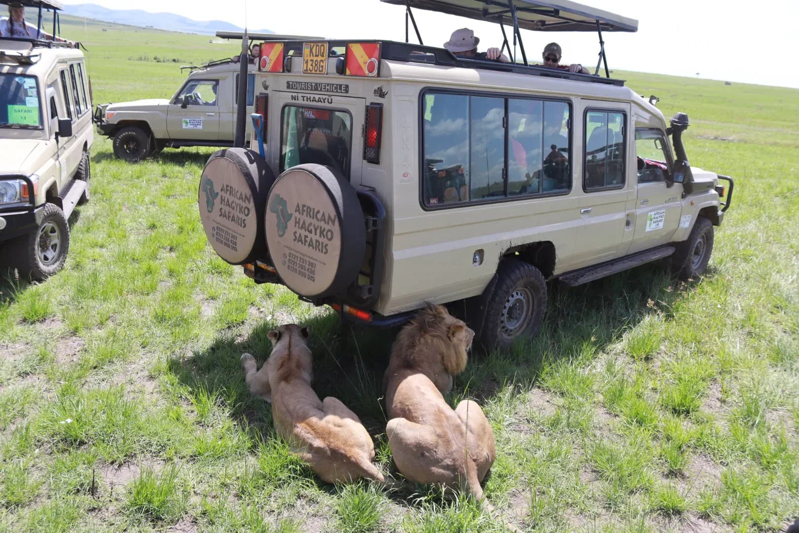 6 Days Lake Nakuru, Masai Mara, Lake Naivasha & Amboseli Safari photo 8