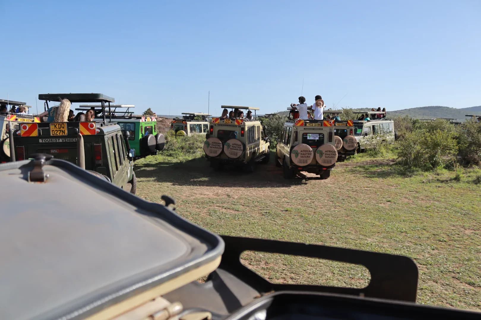 3 days Masai mara fascinating safari Adveture photo 6
