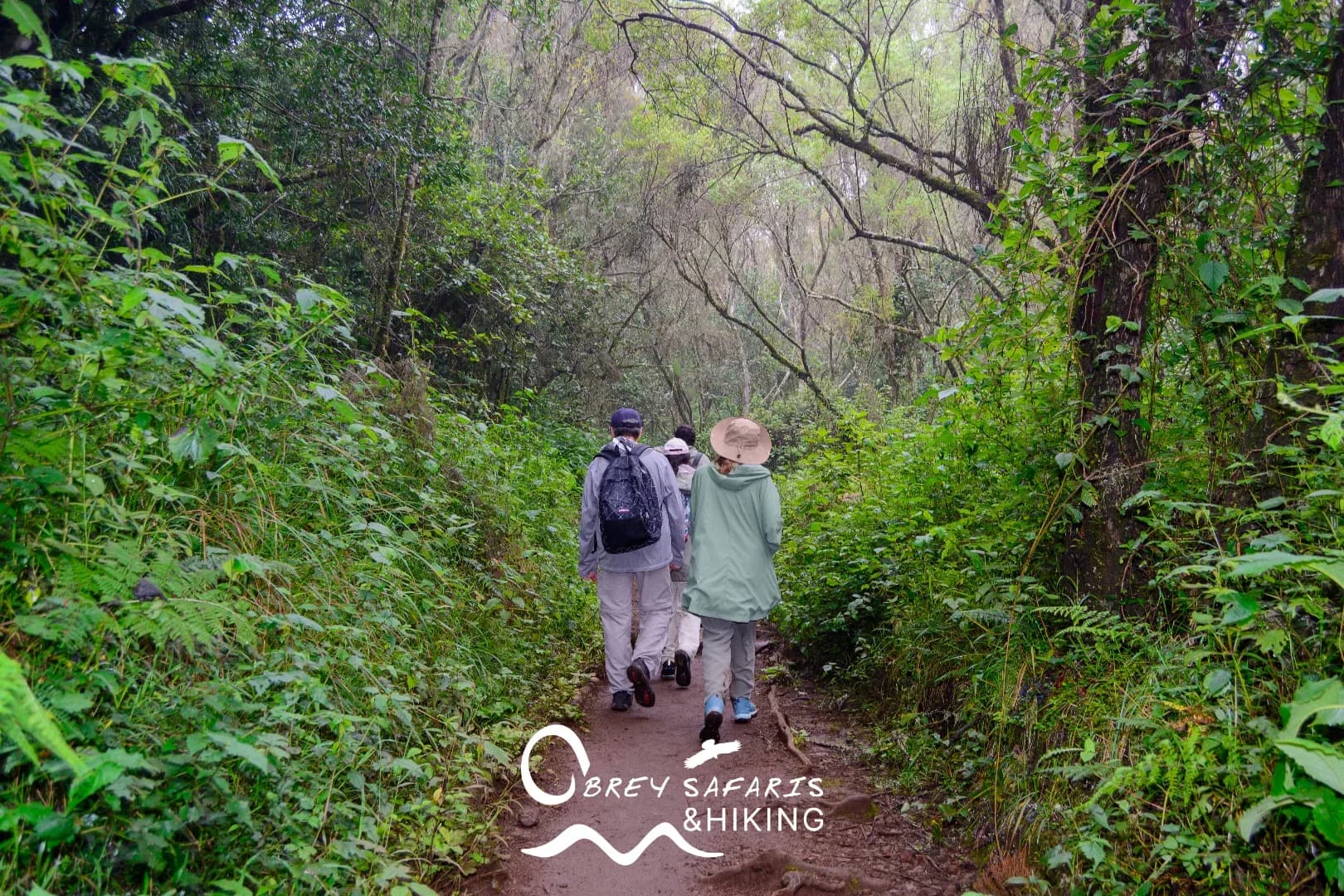 Materuni Waterfalls and Coffee Tour photo 2