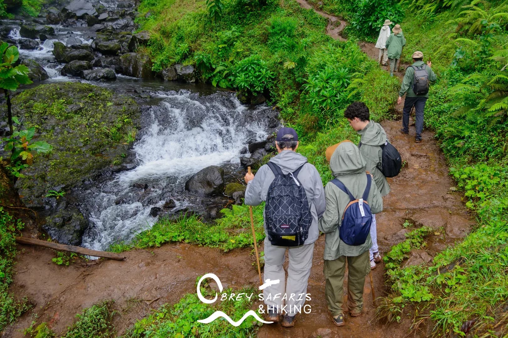 Materuni Waterfalls and Coffee Tour photo 4