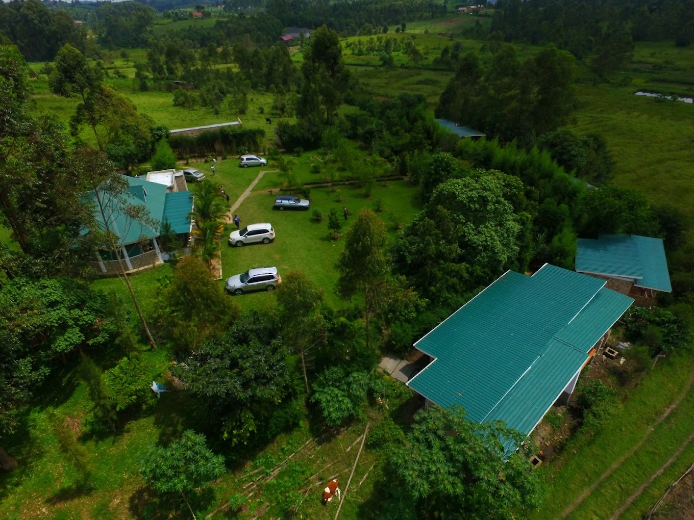 Bwindi Gorilla Lodge